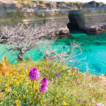 Casa Vacanze Dafne In Salento Apartmán Otranto